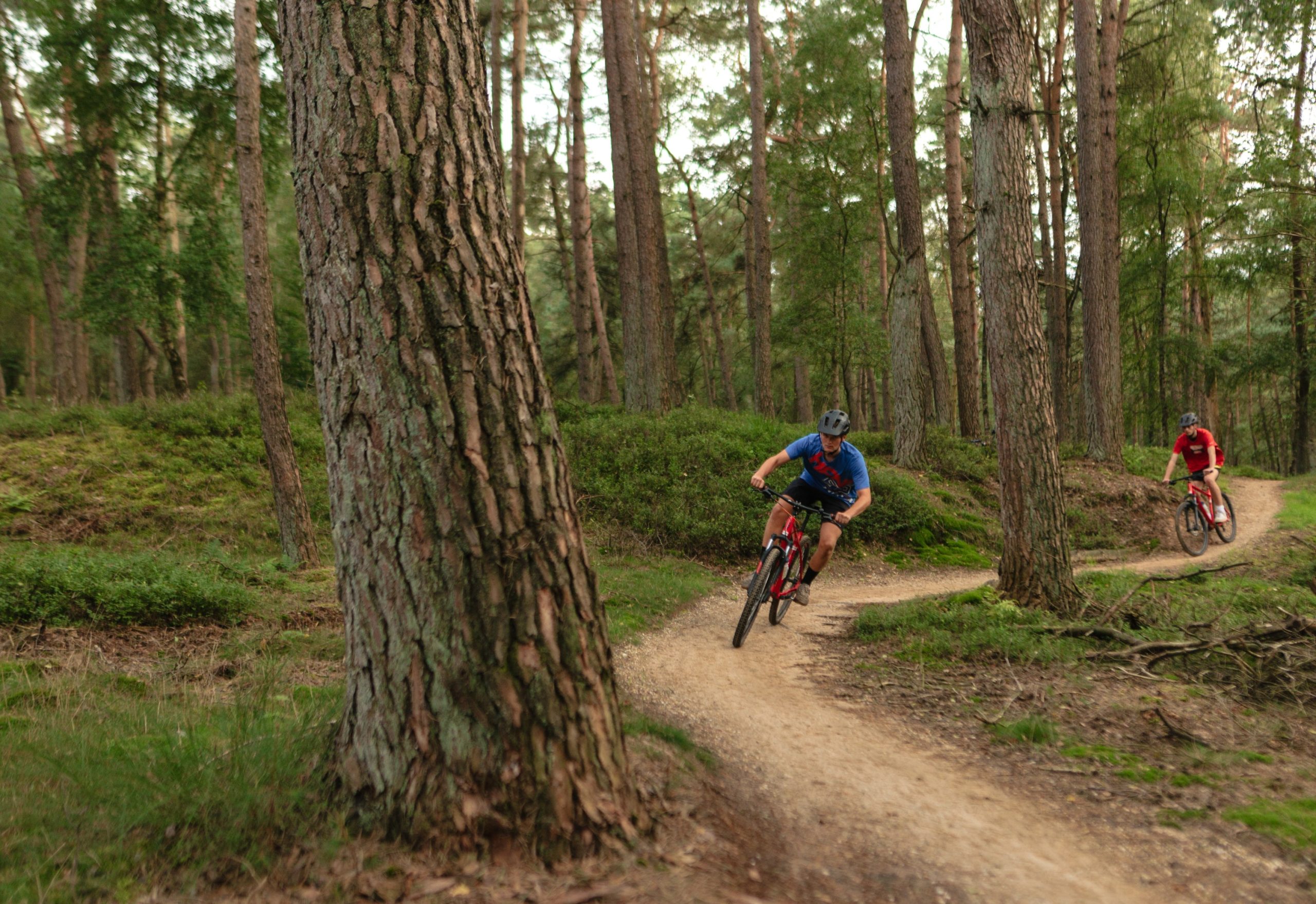 kasper-siebrands-11-scaled