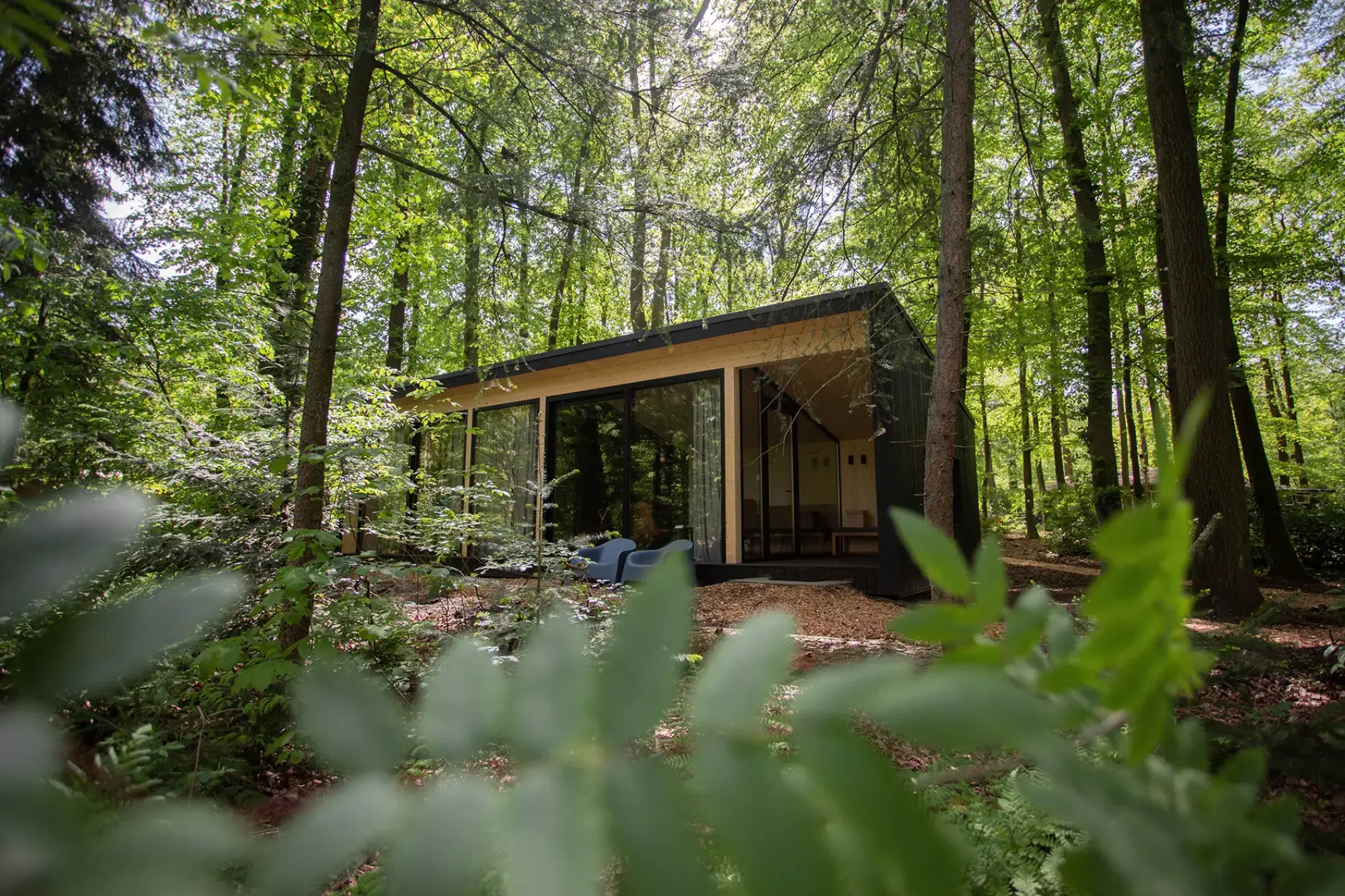 De lodges van Buitenplaats Petersburg liggen midden in het bos bij Arnhem
