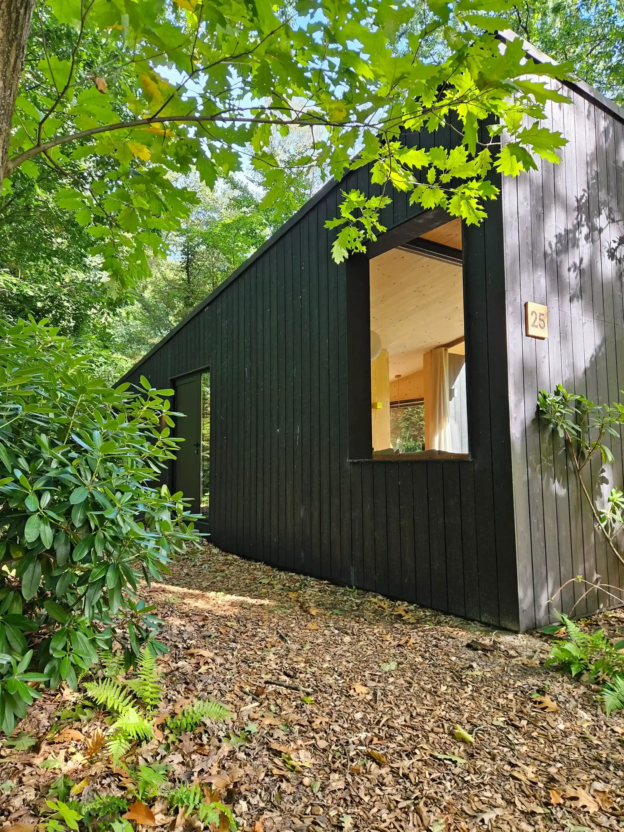 Boshuisje Veluwe huren | Boek hier