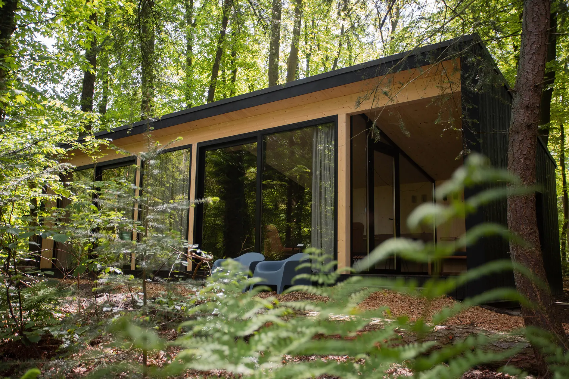 Boshuisje huren en wandelen en fietsen op de Veluwe