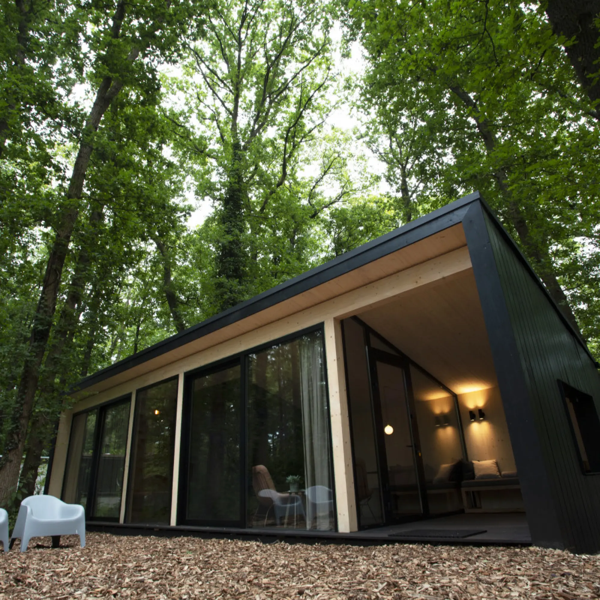 Forest Lodge