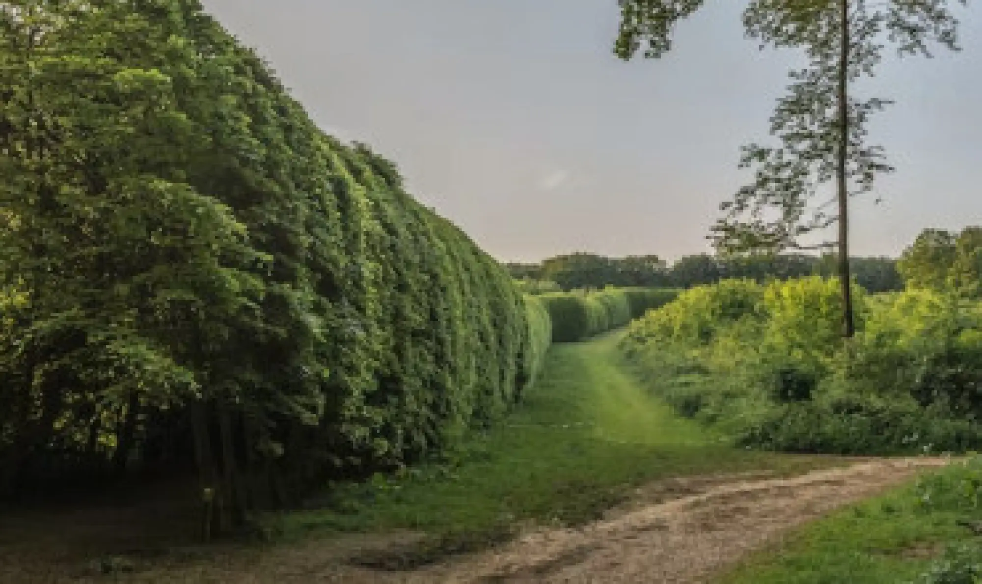 Landgoed Mariëndaal