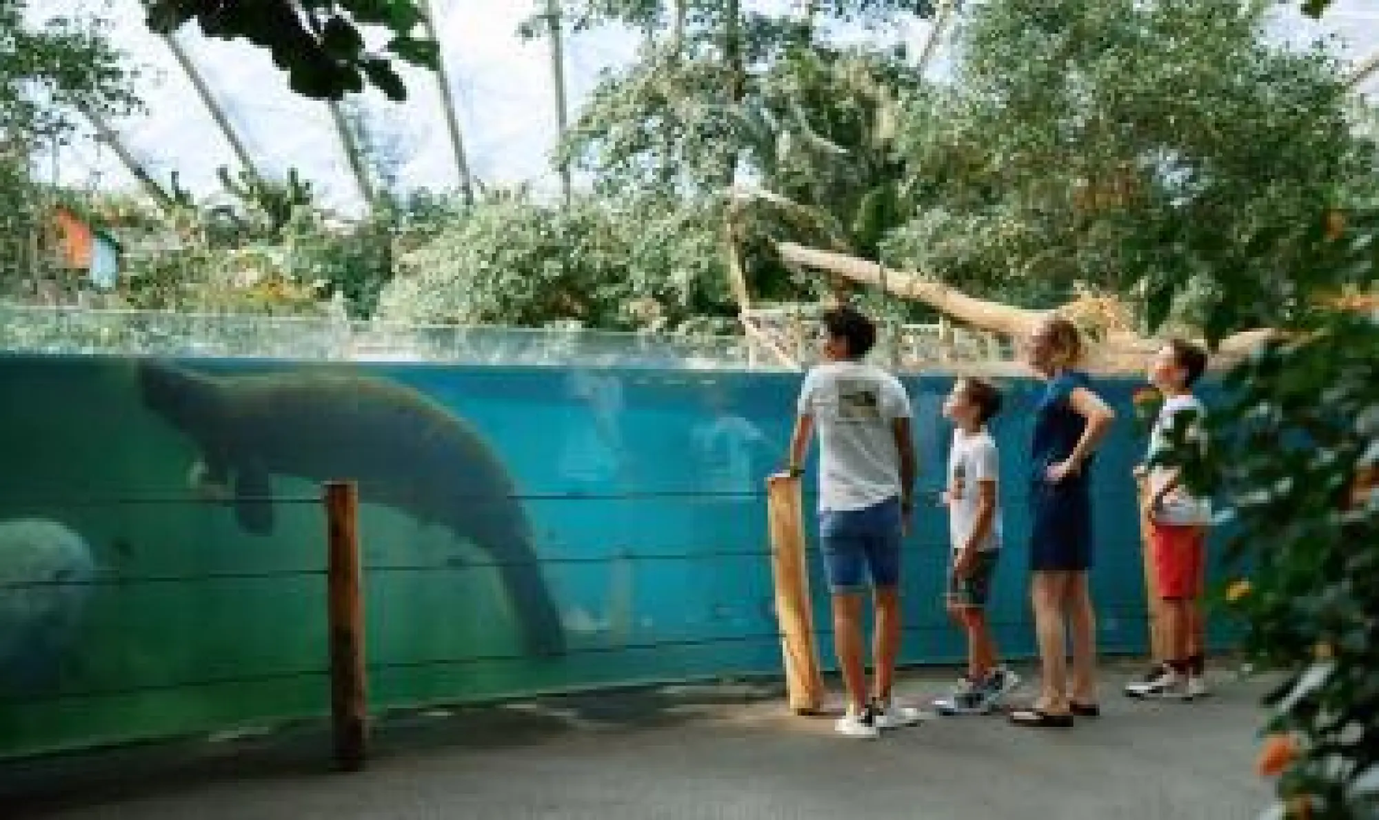 Burgers' Zoo