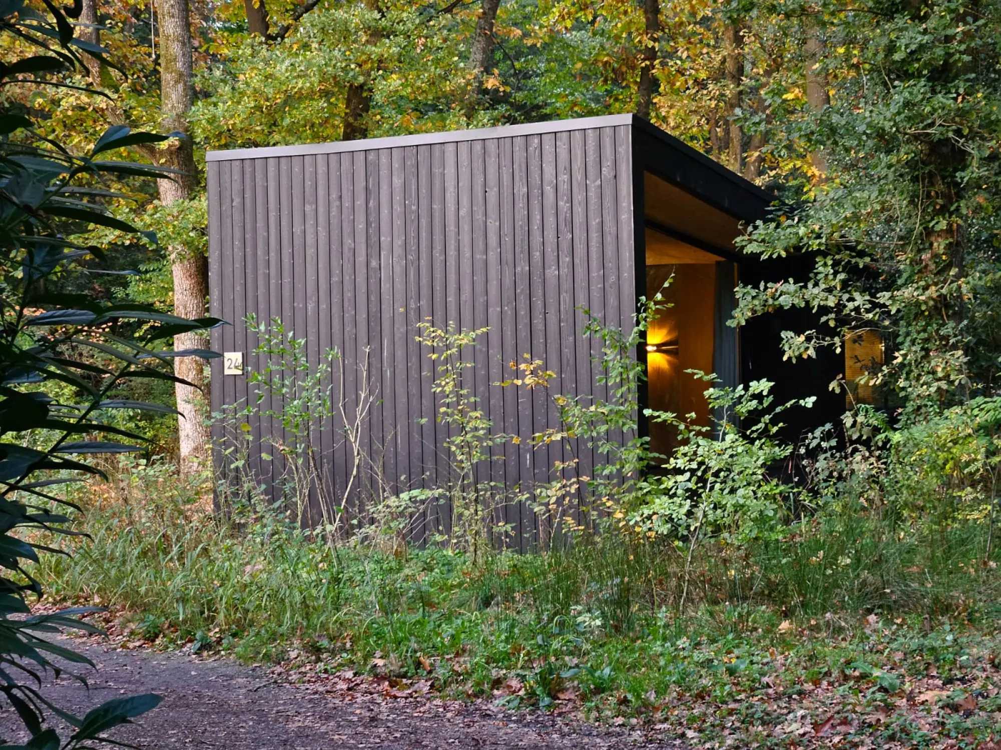 Najaar op de Veluwe bij Buitenplaats Petersburg