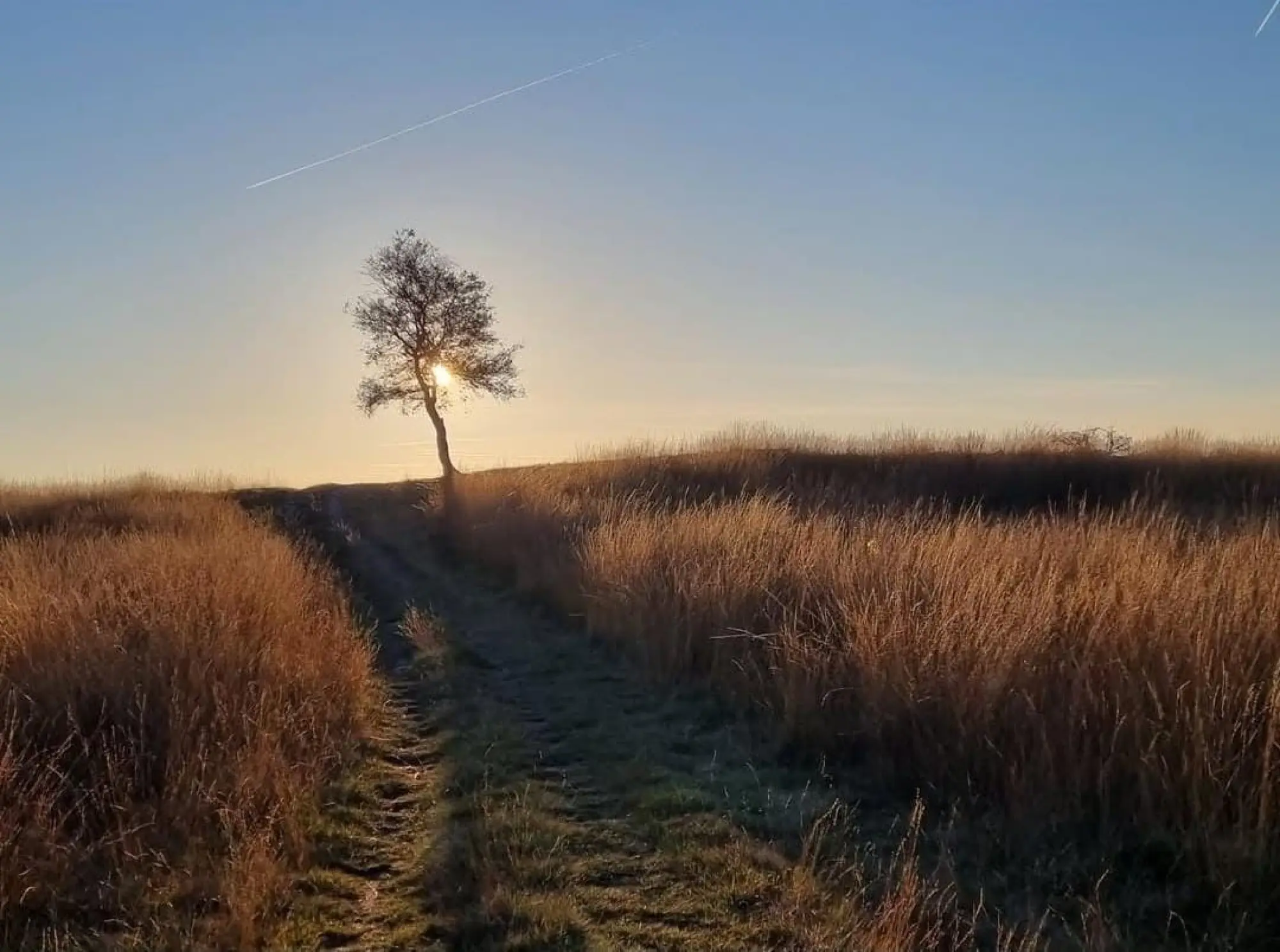 Najaar op de Veluwe | Huur een lodge bij Buitenplaats Petersburg