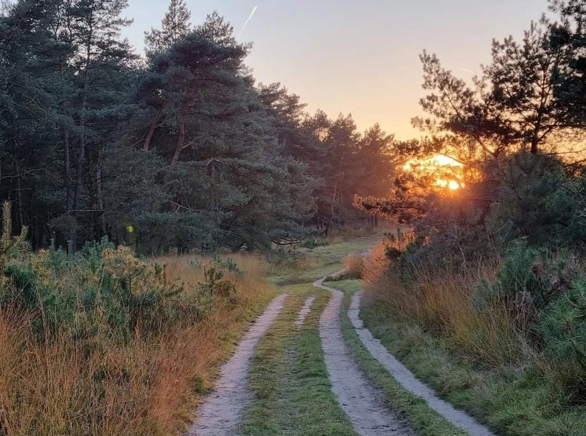 Beleef het najaar op de Veluwe