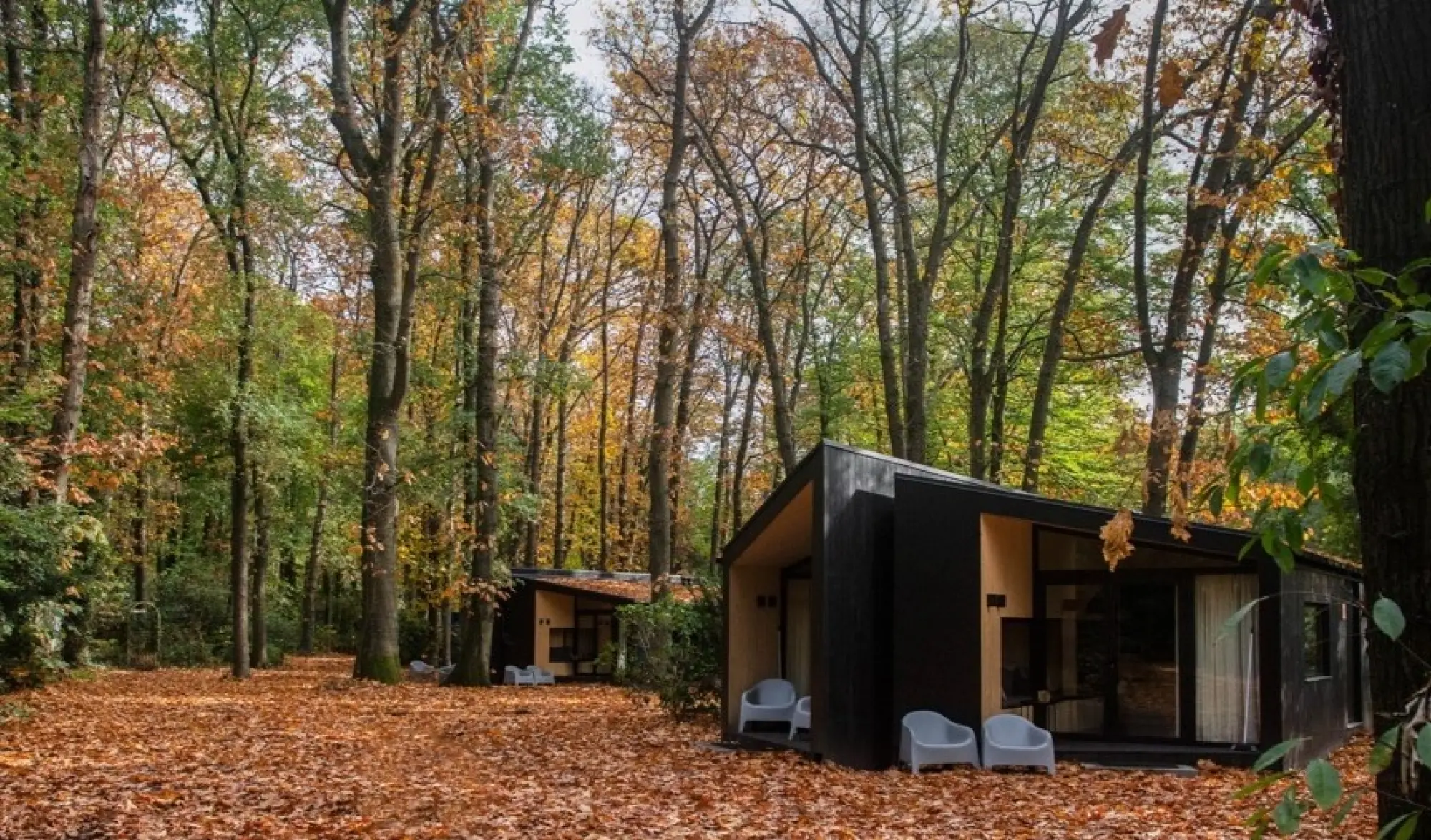 Najaar op de Veluwe | Buitenplaats Petersburg