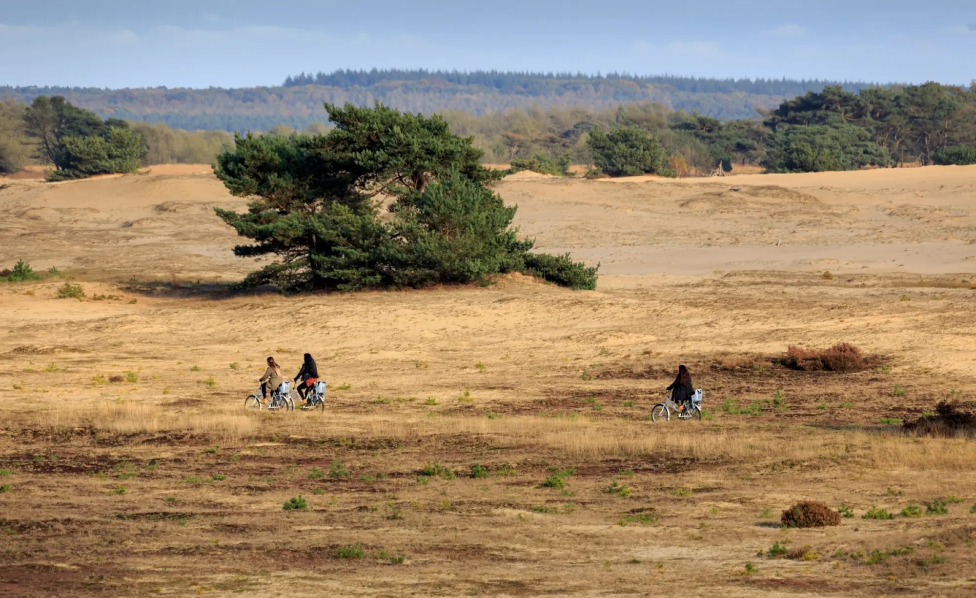 Hotel Otterlo | Vlakbij Hoge Veluwe