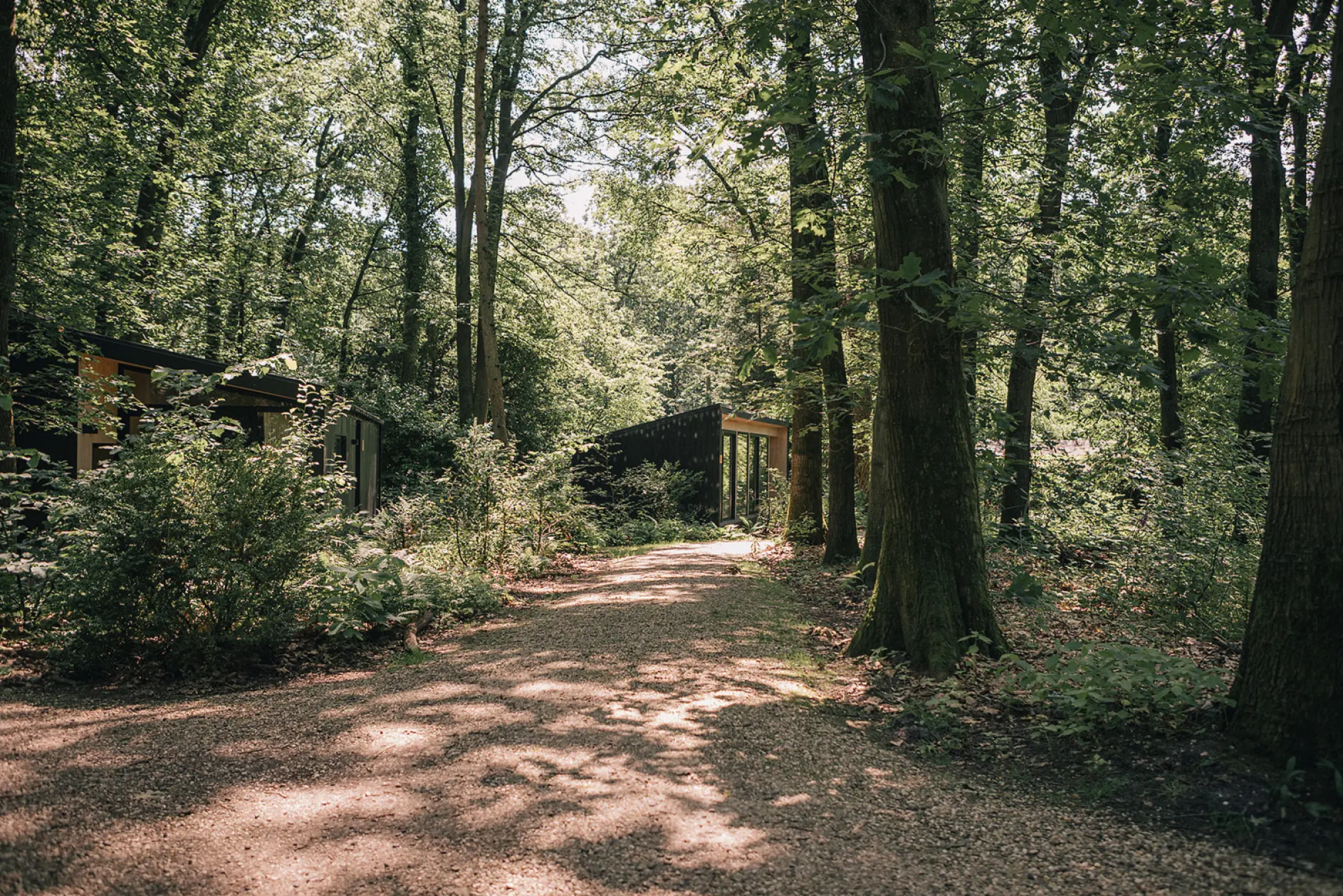 Adults only Veluwe | Verblijf bij Buitenplaats Petersburg
