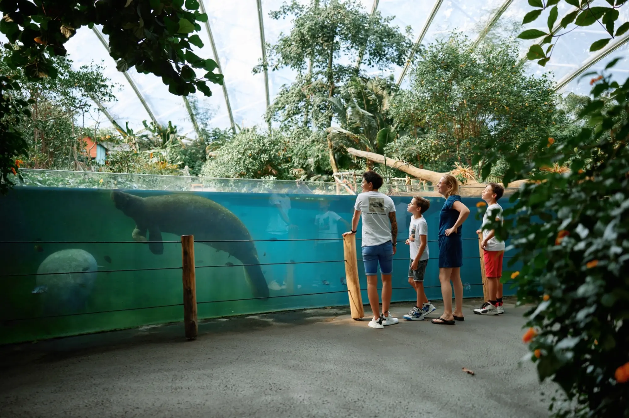 Burgers’ Zoo voor volwassenen | Rustig overnachten in de buurt bij Buitenplaats Petersburg