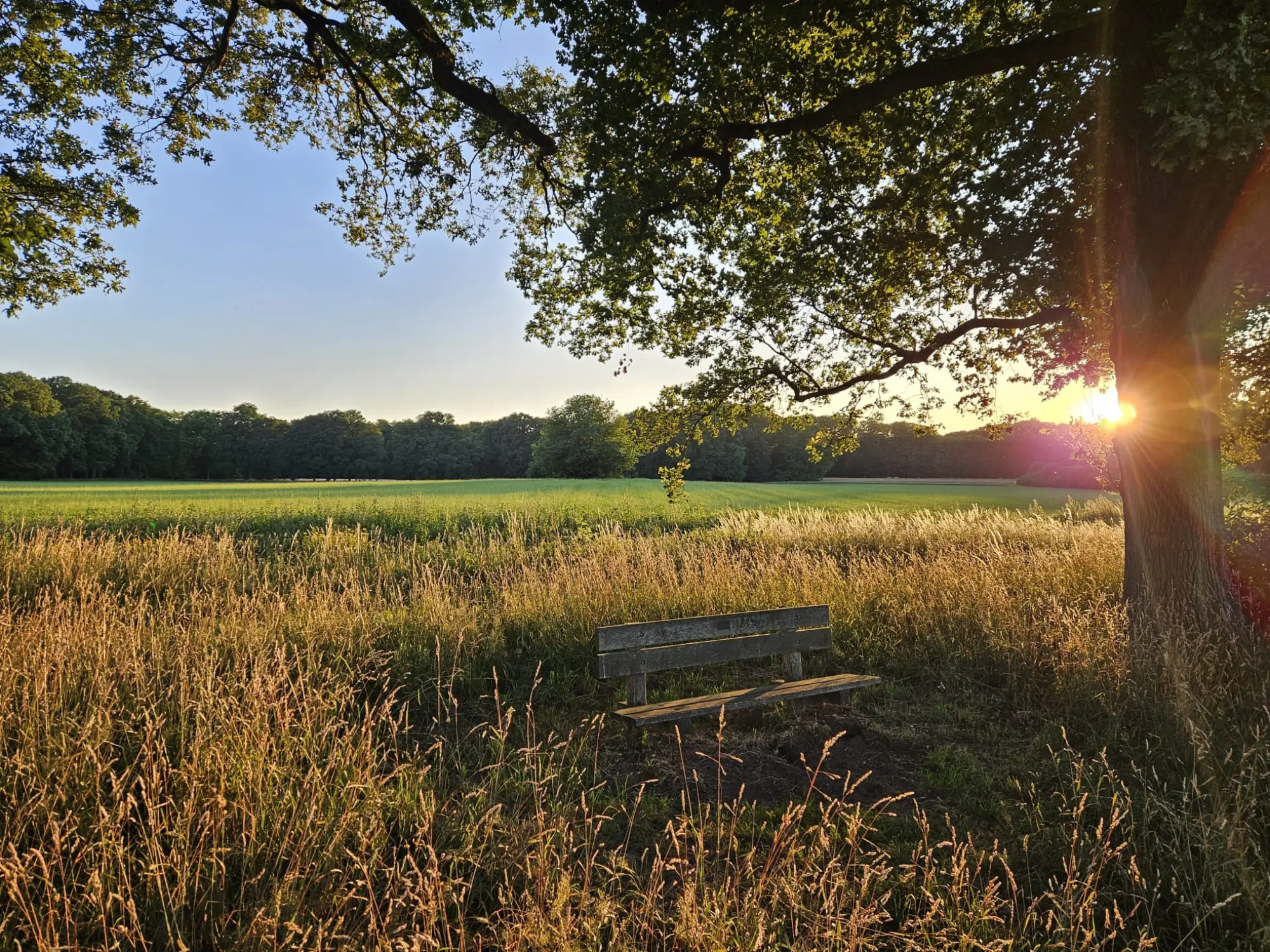 Schaarsbergenpad | Klompenpad Zuid-Veluwe