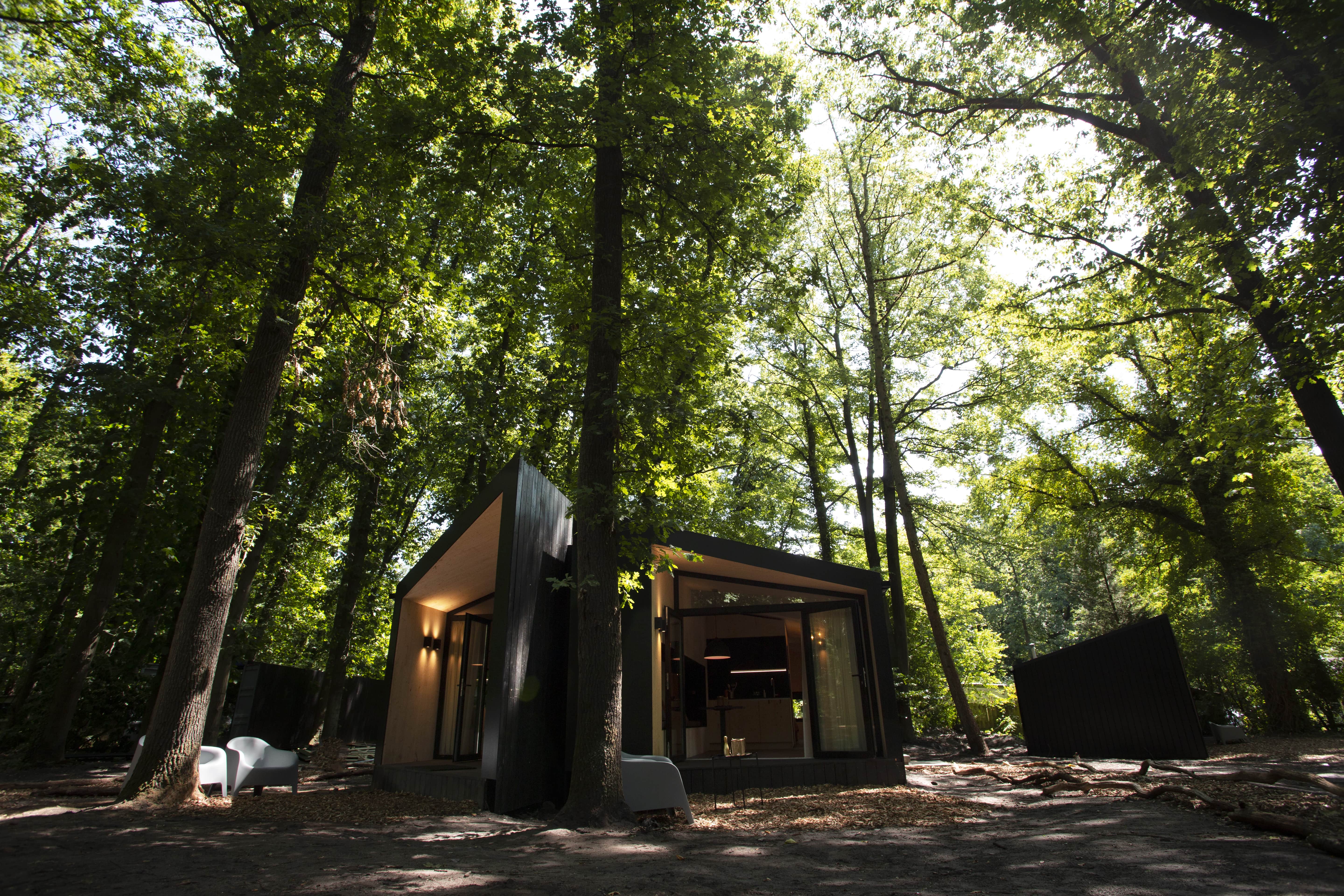 Buitenplaats-Petersburg