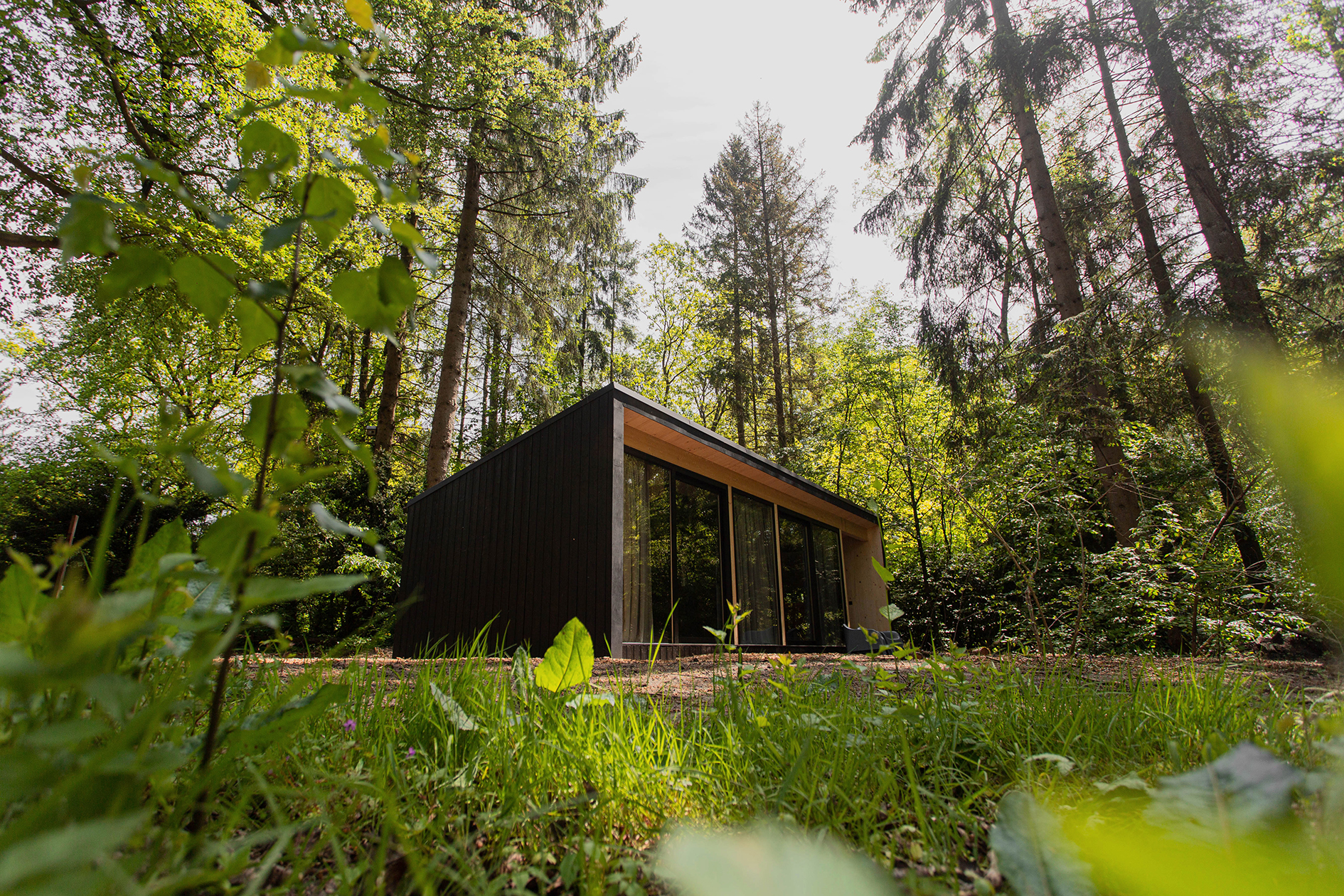  Boshuisje op de Veluwe