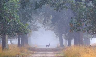 Overnachten vlakbij De Hoge Veluwe